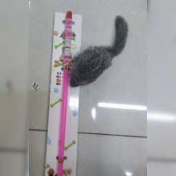 Jucarie Undita pisici ( PID-m7d49lvu ) [photo_00]