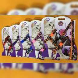 Set de Lesa pentru Pisici ( PID-m7d49ltk ) [photo_00]